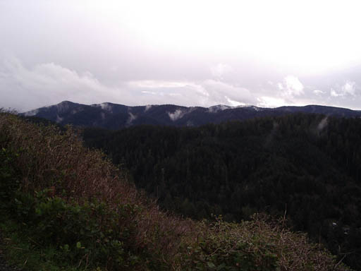 IMGP0425